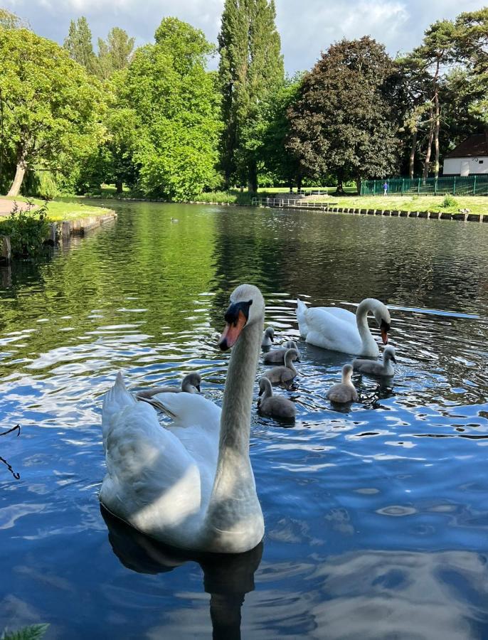 Beddington Park Lodge West ウォリントン エクステリア 写真