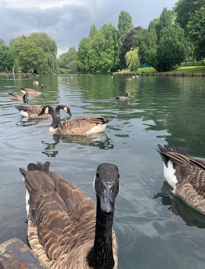 Beddington Park Lodge West ウォリントン エクステリア 写真