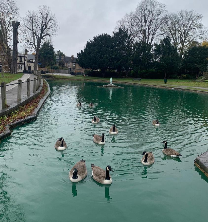 Beddington Park Lodge West ウォリントン エクステリア 写真