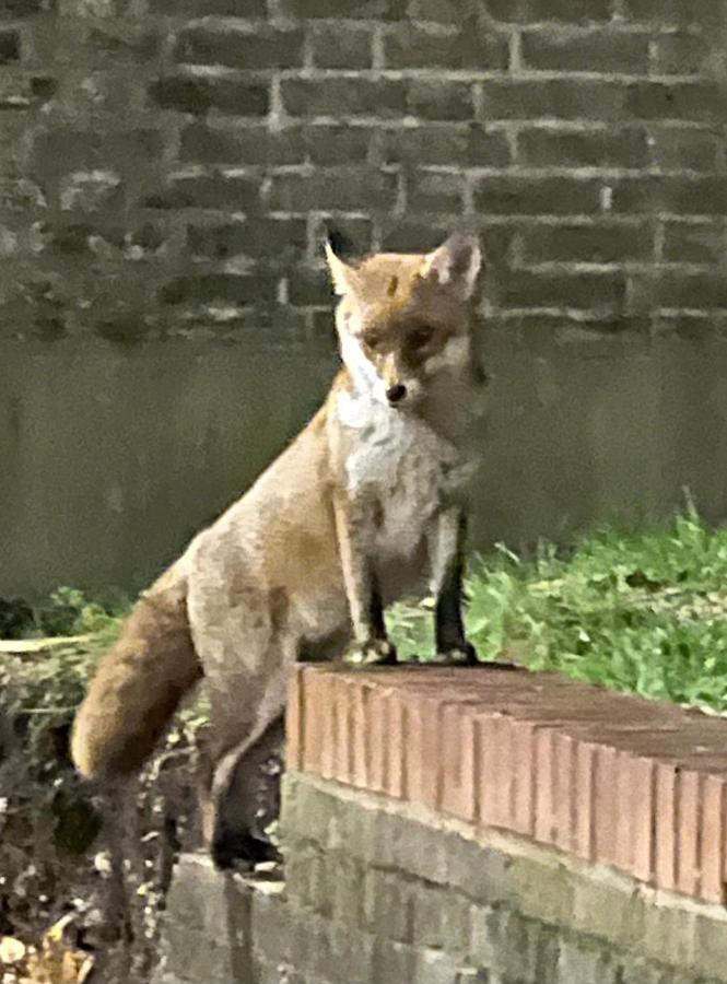 Beddington Park Lodge West ウォリントン エクステリア 写真