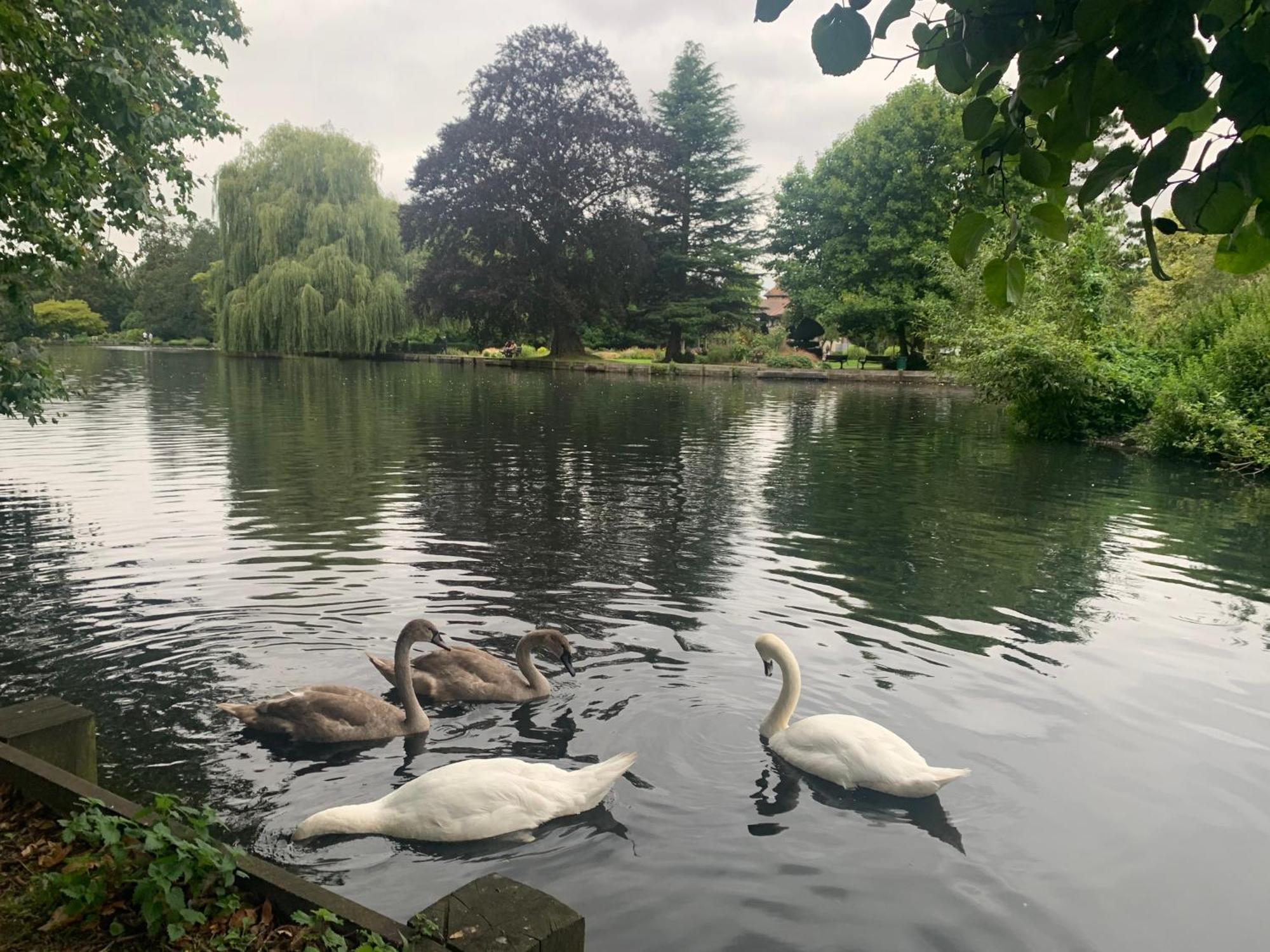 Beddington Park Lodge West ウォリントン エクステリア 写真