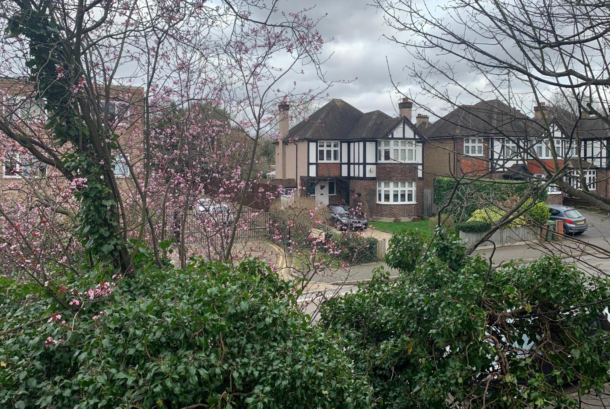 Beddington Park Lodge West ウォリントン エクステリア 写真